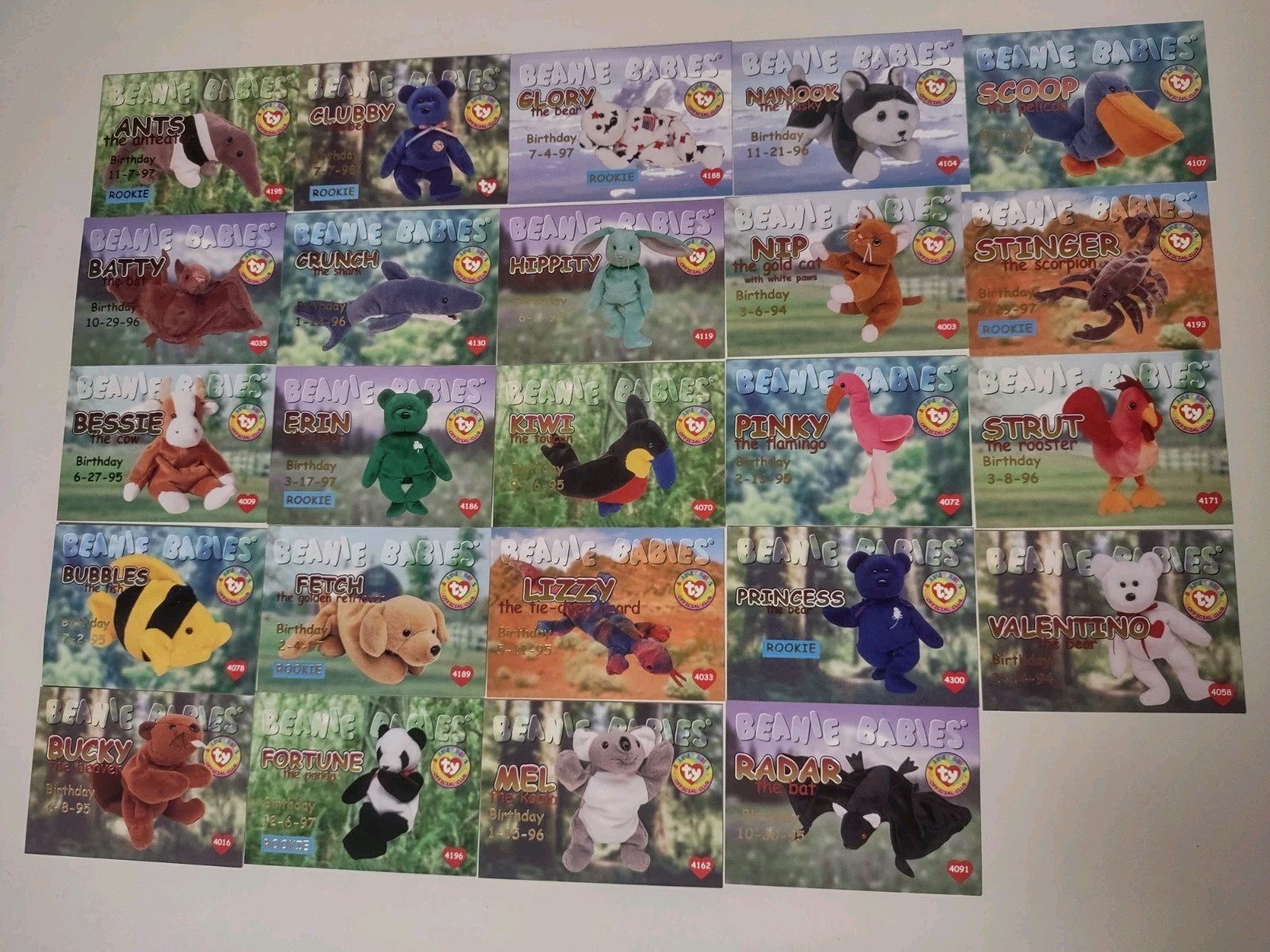 Ty Beanie Babies Trading Card Lot Series 1 Rookie Birthday Holos Red Lot Of 24