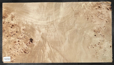 BiColor Maser Pappel | Poplar BURL | ca. 360 x 200 x 50 mm | #1638