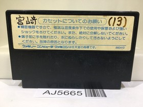 Ghosts'n Goblins Makaimura Nintendo Famicom NES Japan - AJ5665