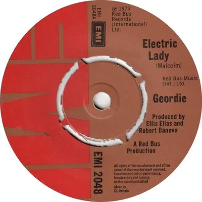 Geordie Electric Lady Vinyl Single 7inch EMI