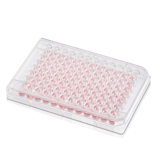 TAMA❅॰ॱ Thermo Fisher 130188 BioLite 96 Well Multidish ,50/Cs