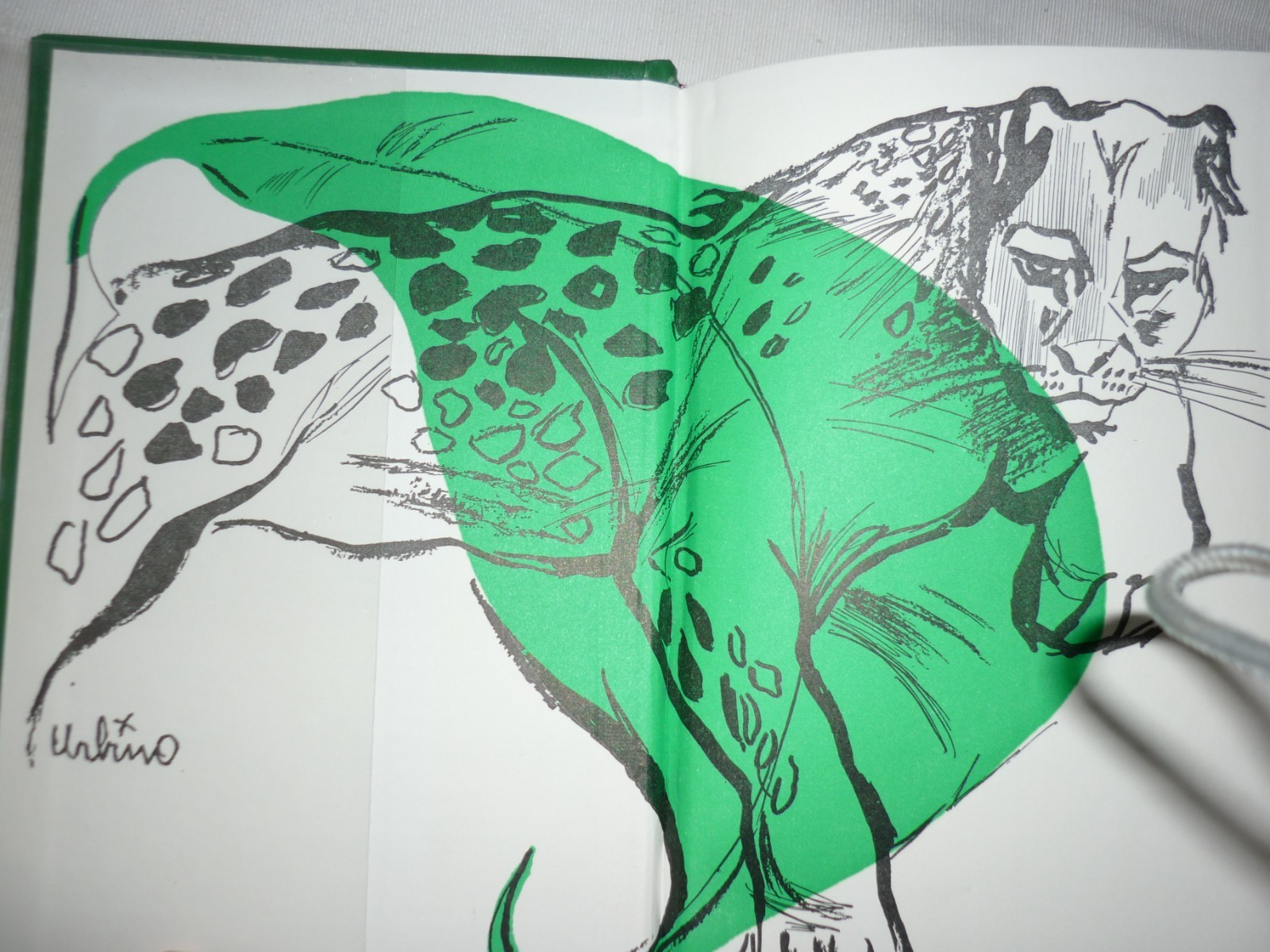 Imagen 2 de 4