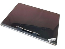 13" MacBook Pro A2159 LCD Display Assembly Space Gary 661-12829 2 TB 3 2019 A