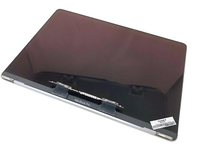 13'' MacBook Pro A2159 LCD Display Assembly Space Gary 661-12829 2 TB 3 2019 A+