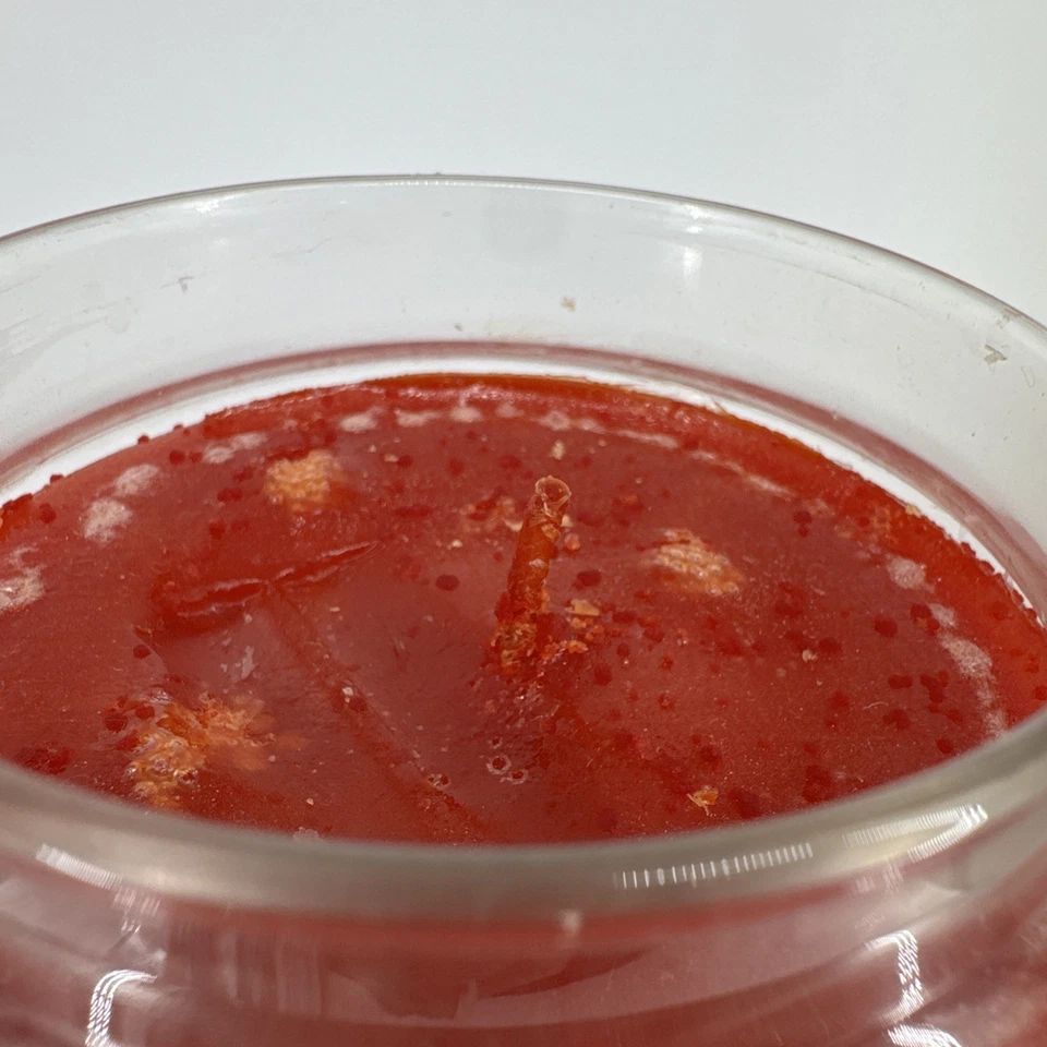 Yankee Candle Cinnamon Stick House Warmer Candle Jar 14.5oz New - Image 4 of 4