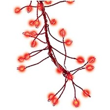 Holiday Bright Lights Micb-rd-216-clrdt Christmas Micro Cluster Big Seed Led