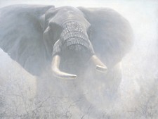Robert BATEMAN Tembo Giclee Canvas art Showstopper African Elephant 42