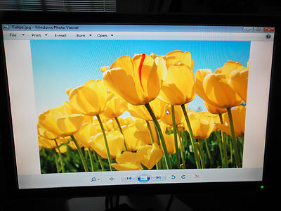 Dell E190S 19