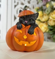 9  Halloween Light Up Black Cat Sitting in Jack O Lantern Pumpkin Figurine Decor