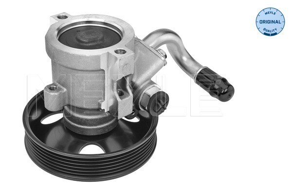 Meyle Servopumpe Hydraulisch FüR Opel Antara L07 Chevrolet Captiva C100 C140-image