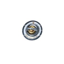 Thermostat Chrysler 300C