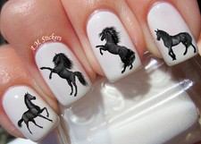 Black Horse Nail Art Stickers Transfers Decals Set of 40 - A1261