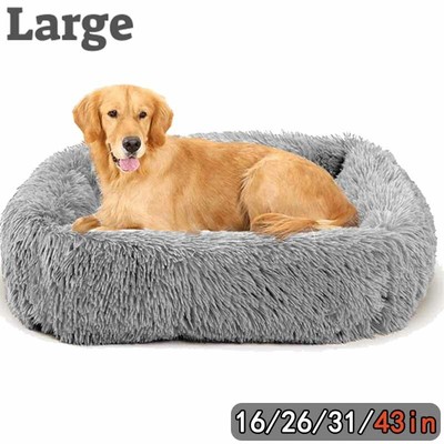 xx large dog bed
