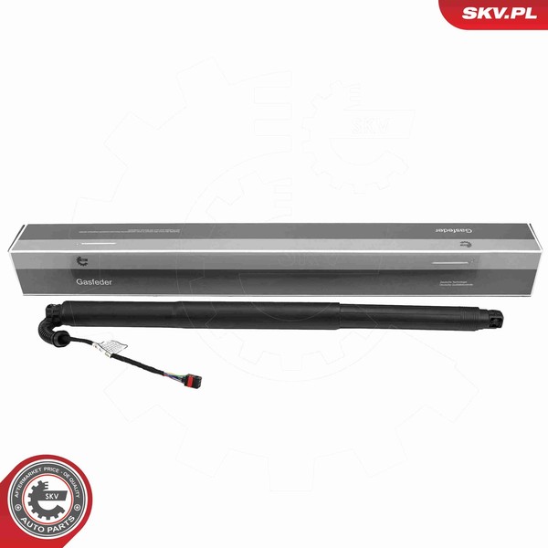 Esen SKV Elektromotor Heckklappe 52SKV255 FüR Skoda Kamiq NW4 TGI CNG TSI TDI-image