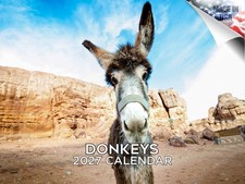 Donkeys Calendar 2026 12x18 Made in USA