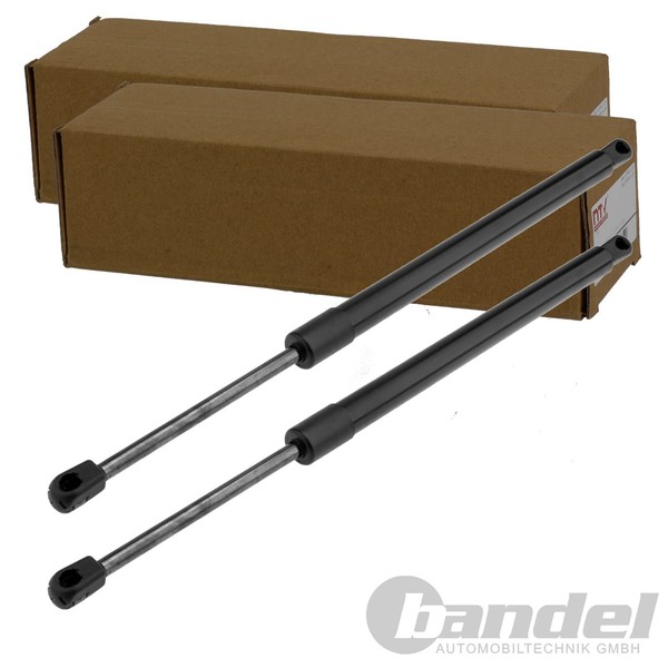 2X NTY Gasfedern KOFFERRAUM-LIFTER Passend FüR Jeep Grand | AE-CH-023-image
