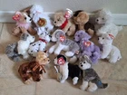 13 Vintage All Puppy Dog Beanie Baby Babies lot 7 With Tags!