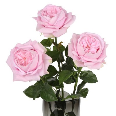 ICBOX 3PCS Ligh Pink Austin Rose 23.62'' height, 5.1'' diameter, Lght