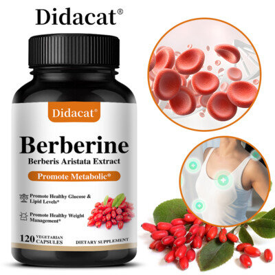 Berberin 500 mg Ergänzungsmittel Fördert metabolische Gewichtskontrolle 30-120~