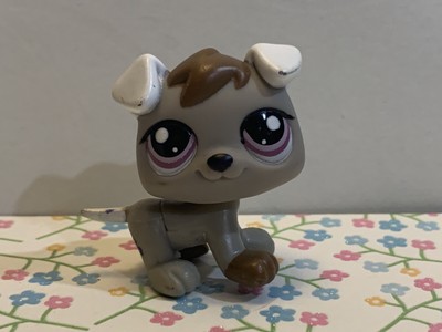 lps gray dog