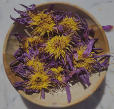 Blue Lotus Flower Organic Dried / Farm Fresh Packed USA Free Ship