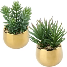 Small Artificial Succulents in Pots Set of 2 Realistic Faux Succulents Plants...