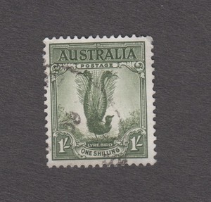 Australia 1932. Male Lyre Bird (Menura novaehollandiae). 1 shilling. Sc# 141