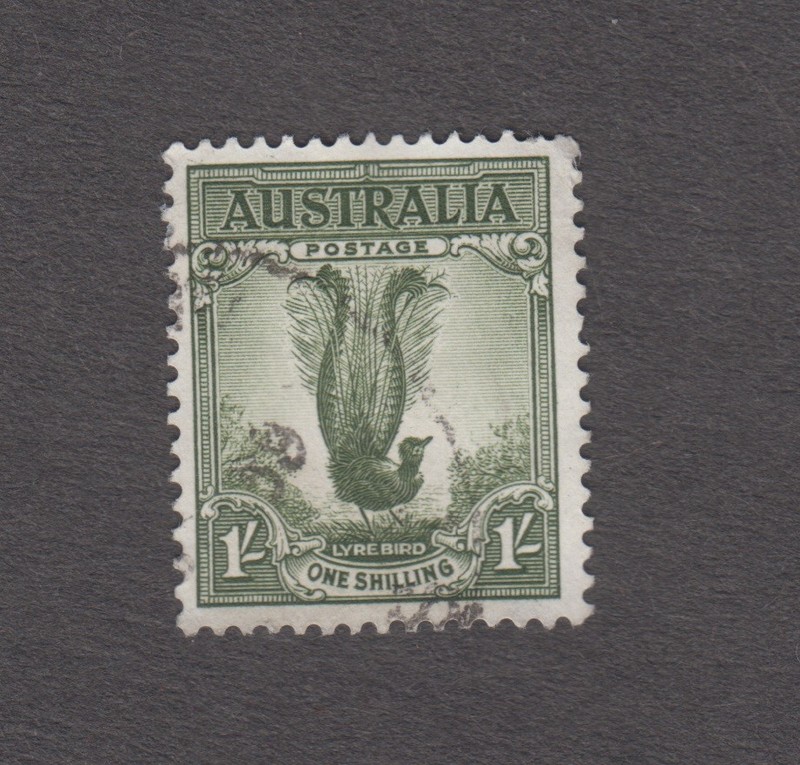 Australia 1932. Male Lyre Bird (Menura novaehollandiae). 1 shilling. Sc# 141