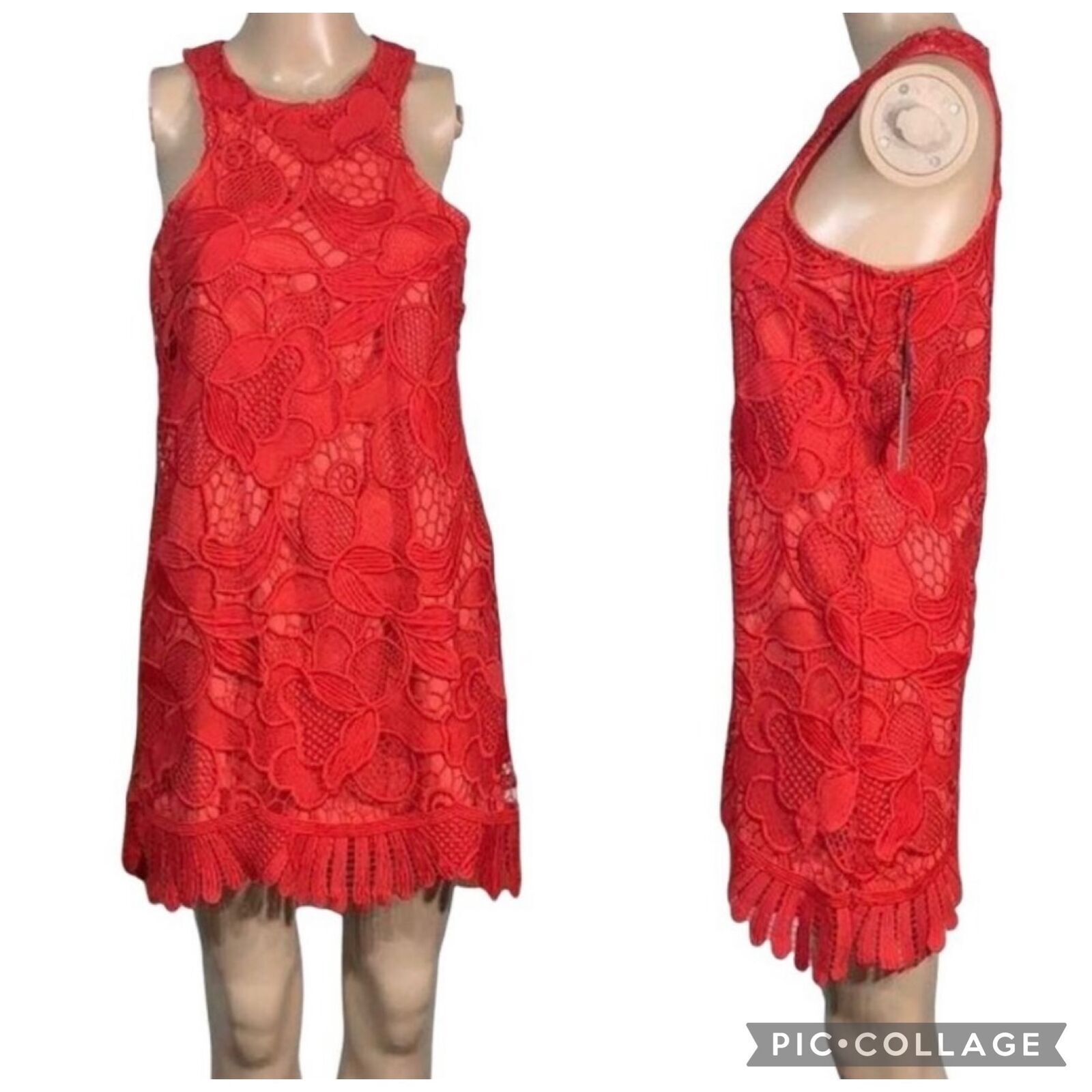 Lovers and Friends Womens Coral Lace Halter Mini Dress in XS-image
