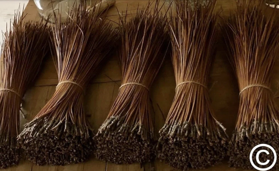 The Tall Pine Long Leaf Pine Needles for Basket Making Basketry 16oz per Bundle - Image 3 of 4