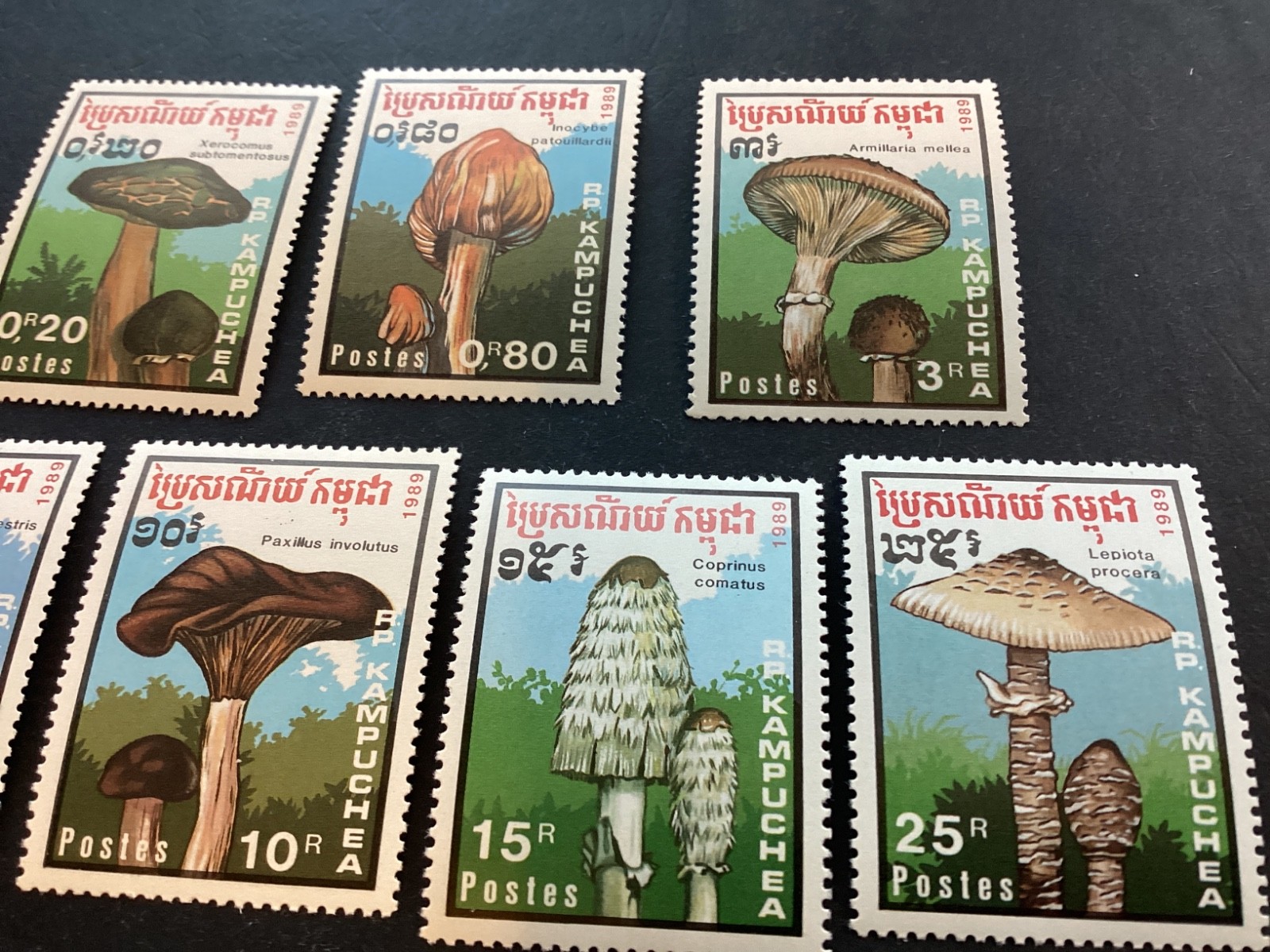 Picture 3