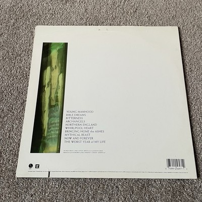 洋楽 THE WILD SWANS / BRINGING  THE ASHES Wild Swans - Bringing Home The Ashes [Colored Vinyl] (Grn