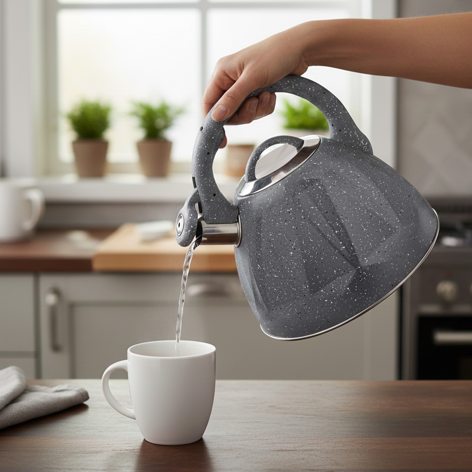 Bouilloire à Sifflet 3L Induction en Inox pour Thé et Infusion