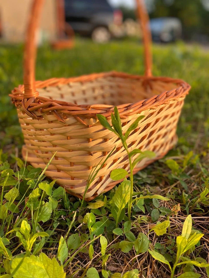 Wicker basket of willow Home decoration Basket for fruits Handmade - Image 4 of 4
