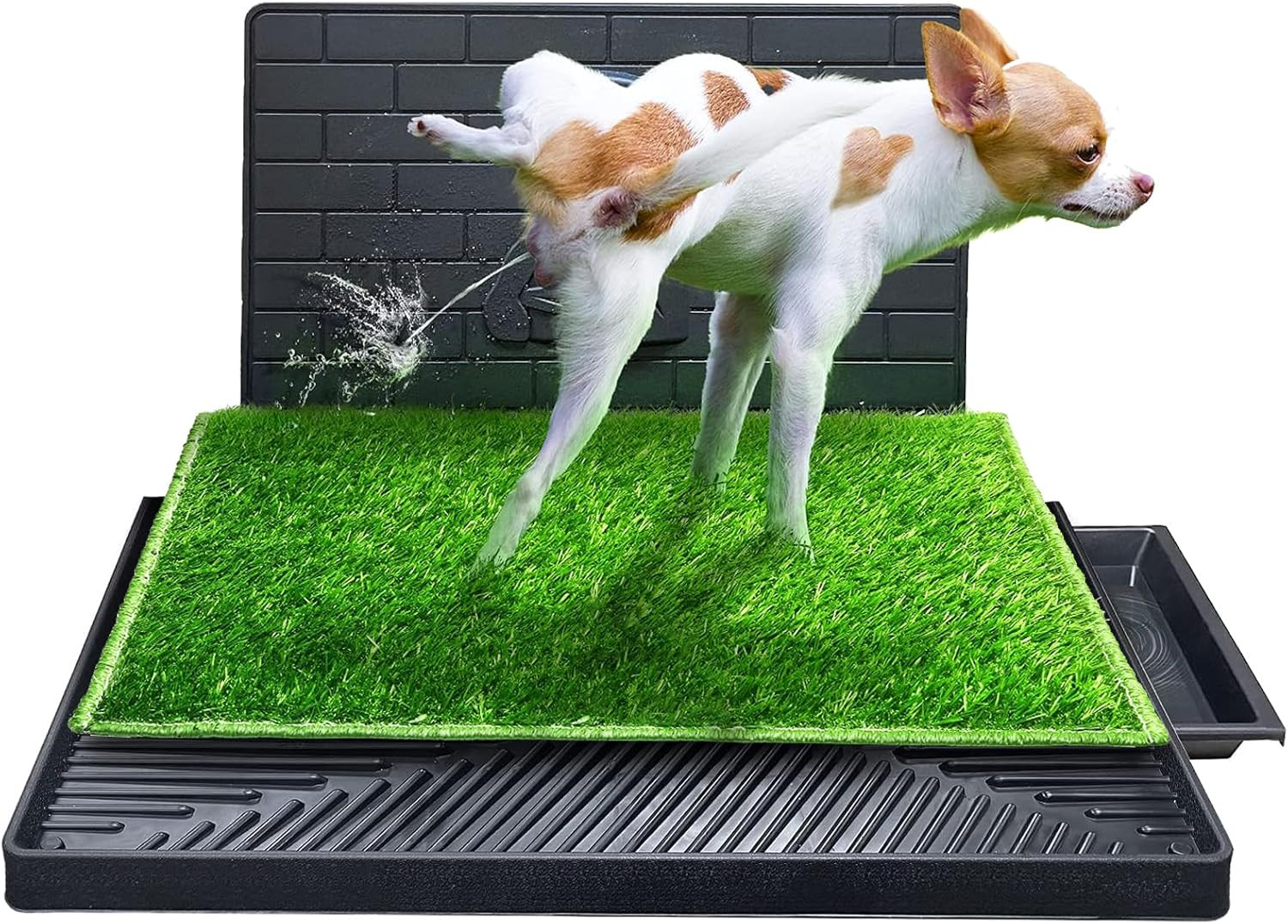 Tappeto Pipì Cani Grandi Erba | Toilette 3 Strati Resistente Lavabile