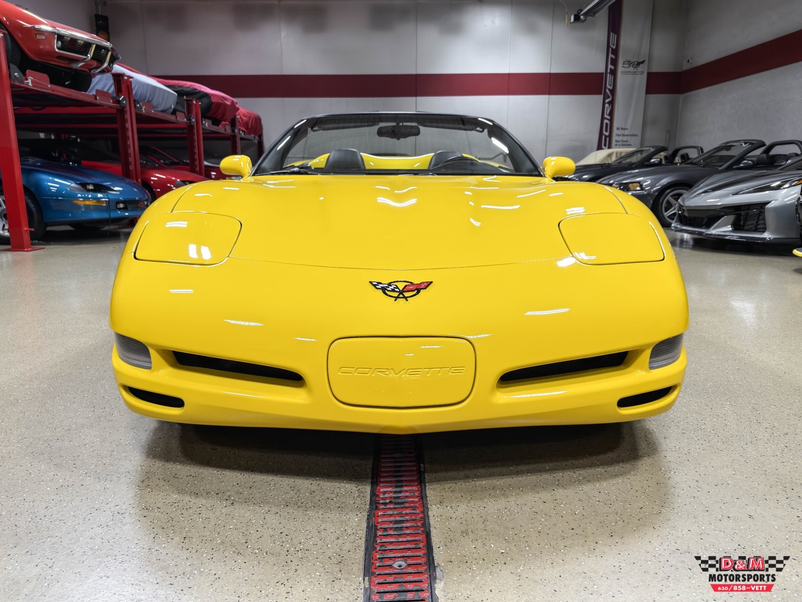 2000 Millennium Yellow Chevrolet Corvette   | C5 Corvette Photo 8
