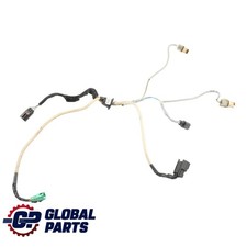 Cablaggio telecamera di guida posteriore sportello posteriore Ford Fiesta Mk7 C1BB17N400AC