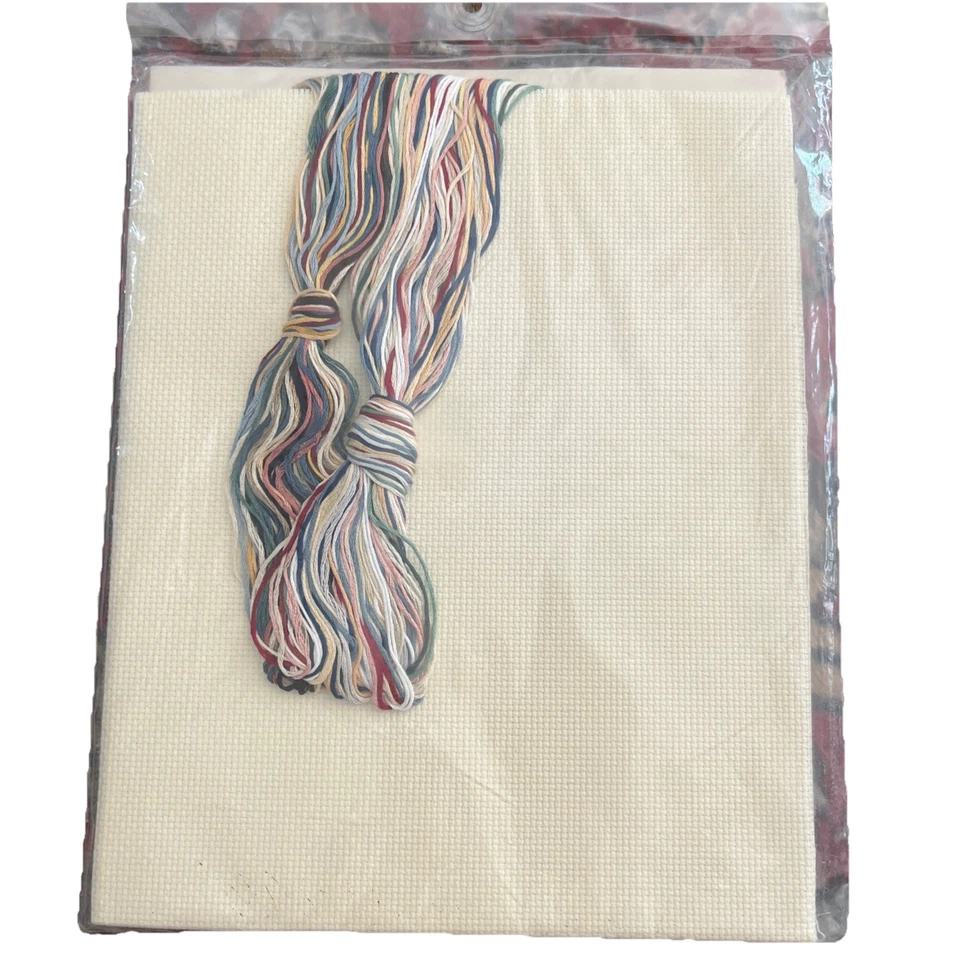 Janlynn Alma Lynne Diseño Contado Punto de Cruz Kit My Family & Me #40-68 Nuevo 87 Foto 2 de 4