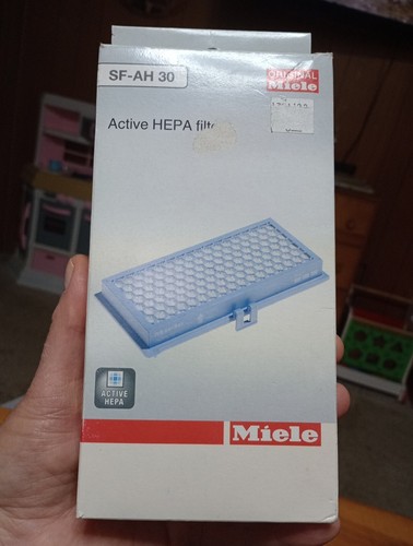 PakTrade Filtro HEPA per Aspirapolvere Miele AirClean Filter SF-HA30 PakTrade Filtro HEPA per Aspirapolvere Miele AirClean Filter SF-HA30