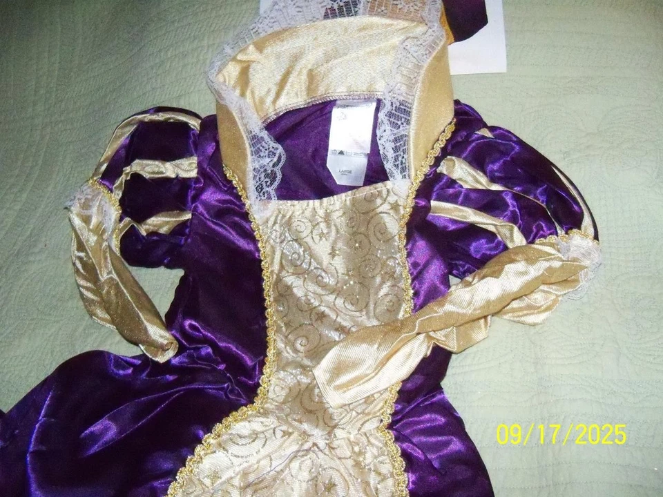 Niñas Princesa Índigo por Rubies Forum Real Púrpura y Dorado Niños Lg 12-14 Nueva IP Foto 2 de 4