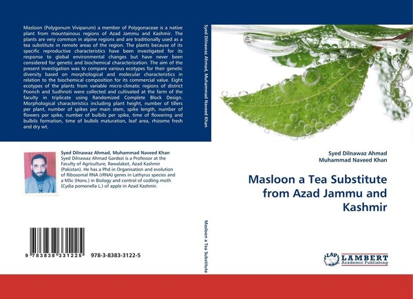 Masloon A Tea Substitute From Azad Jammu And Kashmir Muhammad Naveed Khan-image