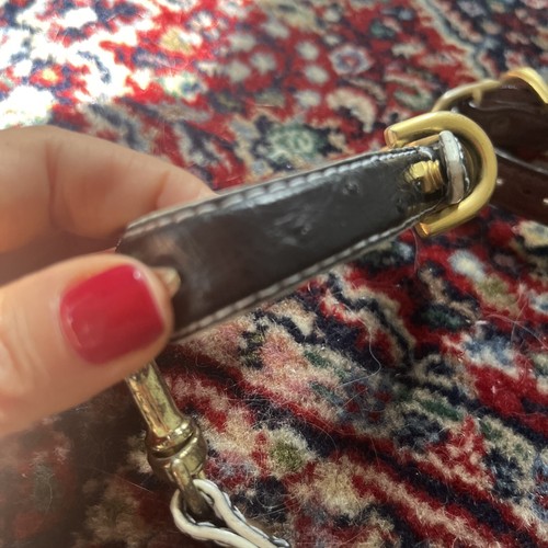 Dog Collar And Leash Ostrich Small South Africa Made - Picture 2 of 11