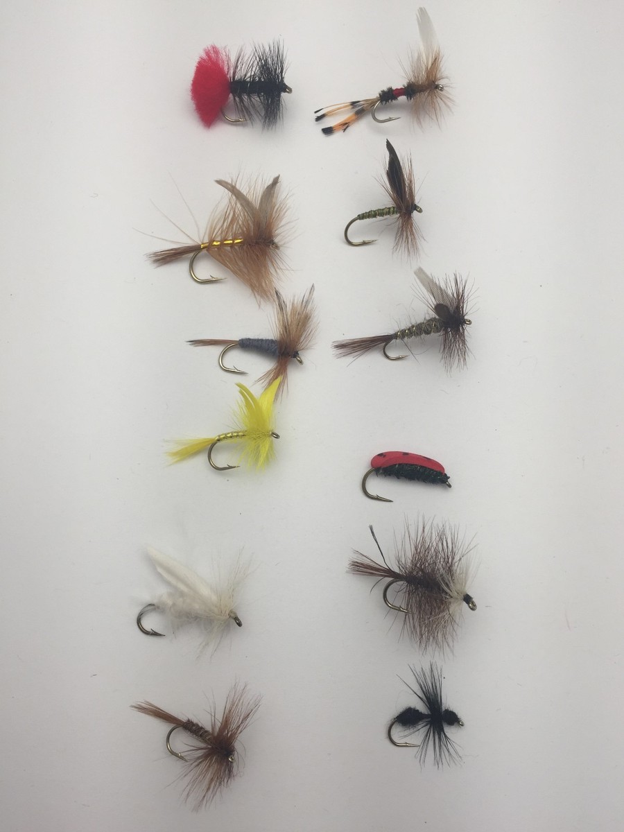 6 Mosche Miste Da Pesca Per Trota - Cimici Affondanti Taglie 8,10,12,14 - Fly-fishing.uk