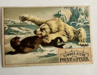 VICTORIAN TRADE CARD SUMMER SCENES AT POINT OF PINES POLAR BEAR SEAL A96