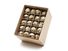 Wachteleier ausgeblasen 60 Stk von NaDeco  | Wachtelei | Wachtel Eier | Dekoeier