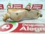 Foto 2 di 8