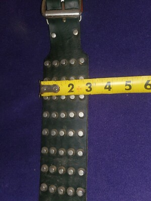 Dean & Tyler Leather Nickle Studded Wide Dog Collar