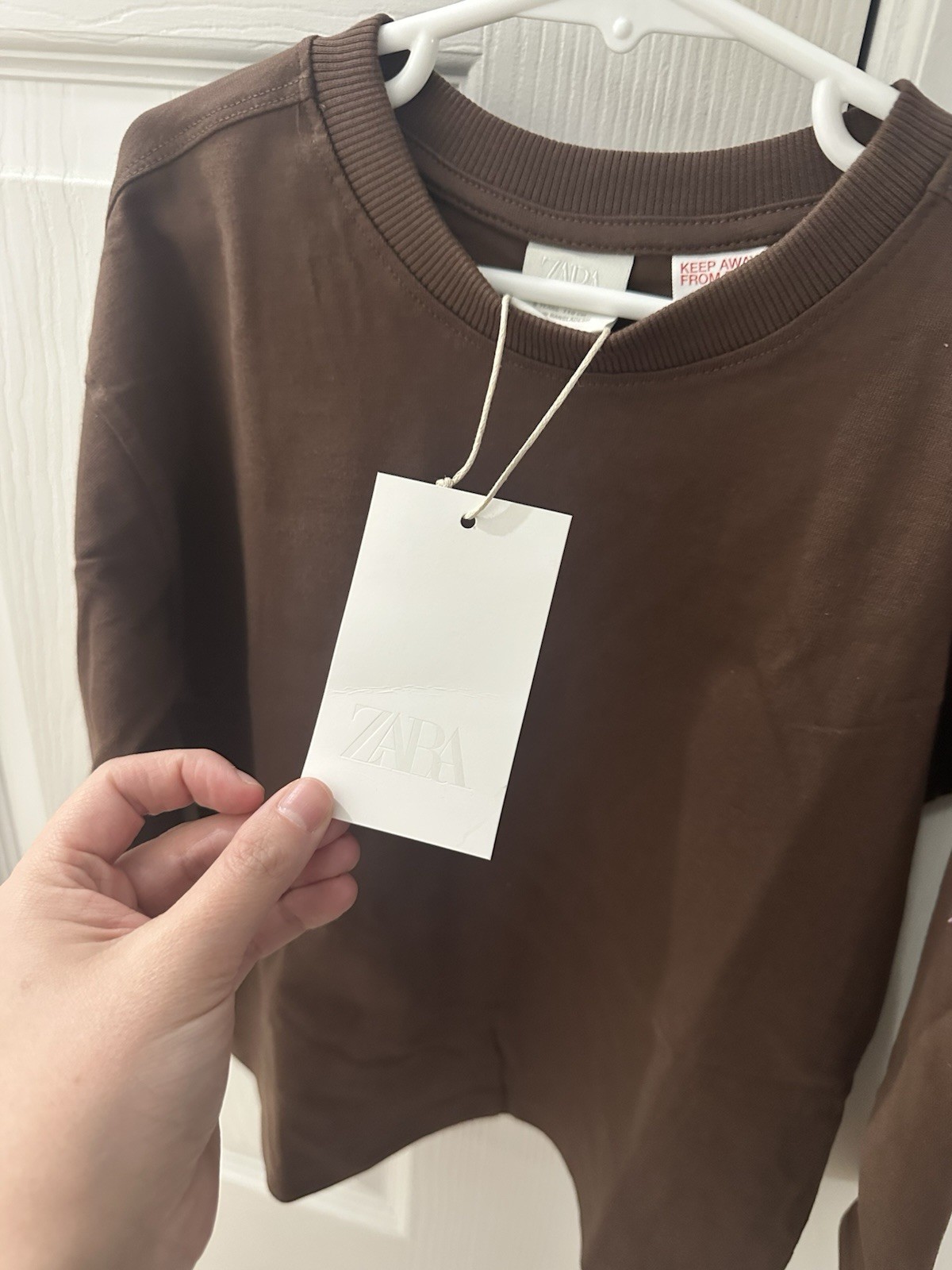 Zara Toddler 5T Brown Long Sleeve Tee  thumbnail 2