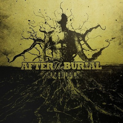 After the Burial Rareform (Schallplatte) 12'' Album