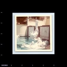 Old Square Color Photo MARBLE STATUES POOL HEARST CASTLE SAN SIMEON CALIFORNIA